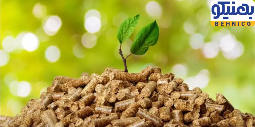 انرژی زیست توده